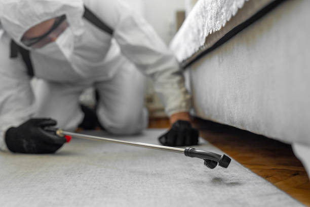 Professional Bed Bug Control technician working in Dade City, FL